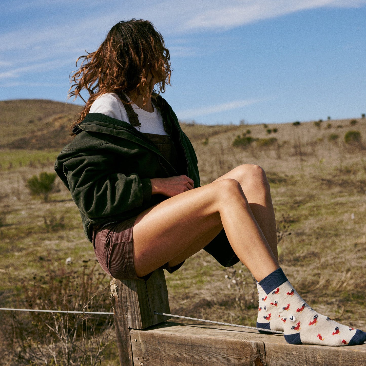 Socks that Save Roosters