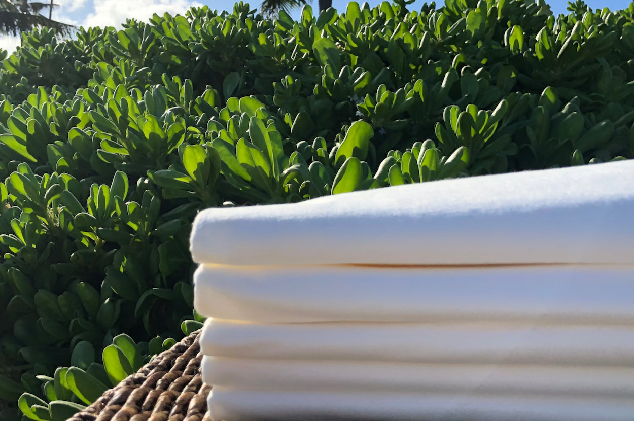Pillowcases (50 CT)